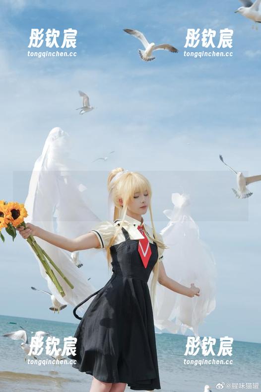 一波新的美图更新！腥味猫罐的少女们，有咬人的力量哦。